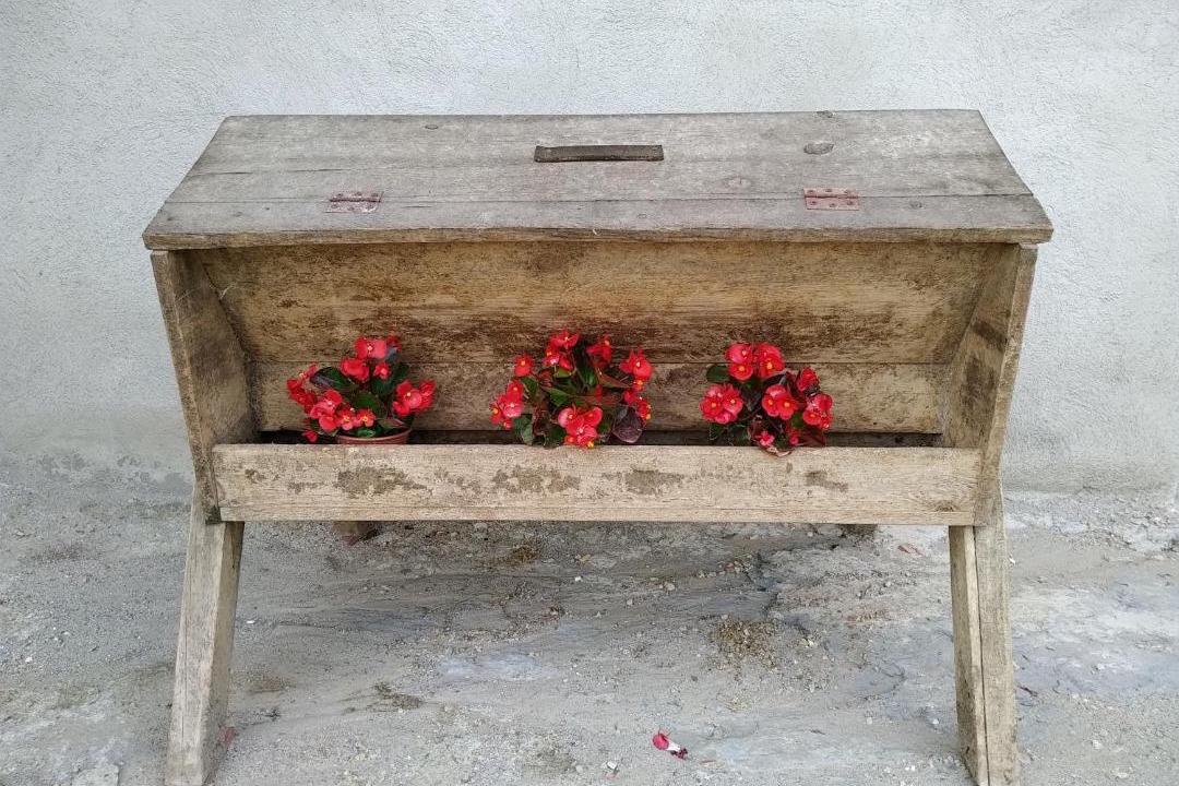 Photo of Others in Sant Pere de Torello