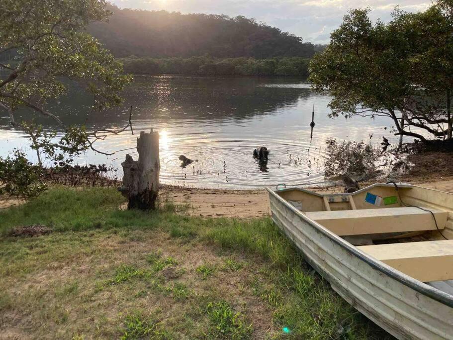Photo of Others in Patonga