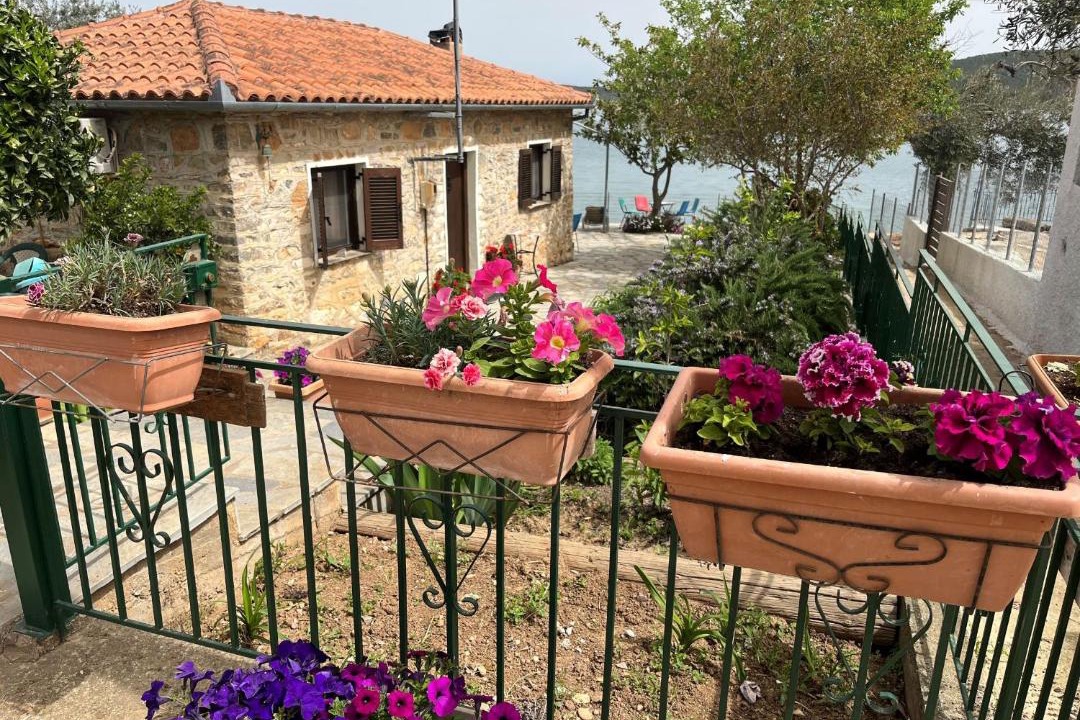 Photo of Others in Sourpi