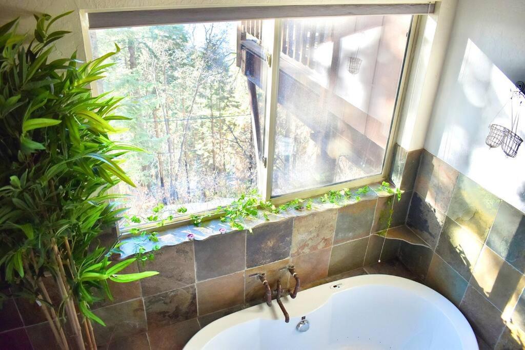 Photo of Bathroom in Springville