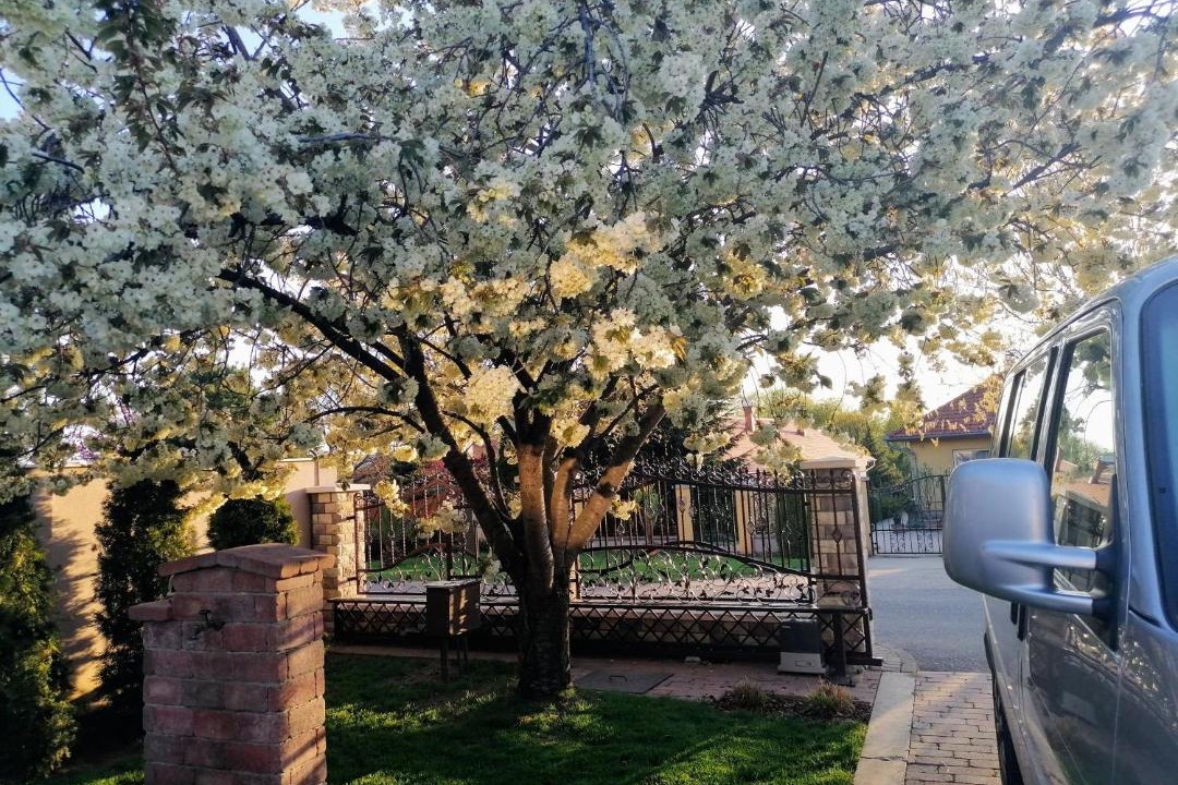 Photo of Outdoor in Nyiregyhaza