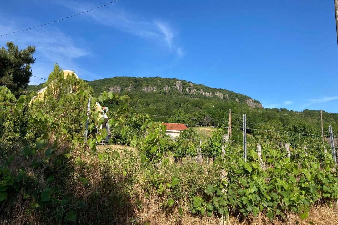 Photo of Outdoor in Badacsonytordemic