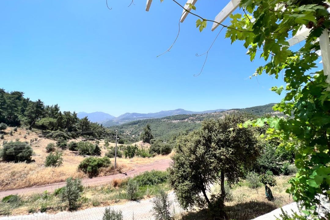 Photo of Others in Olympos