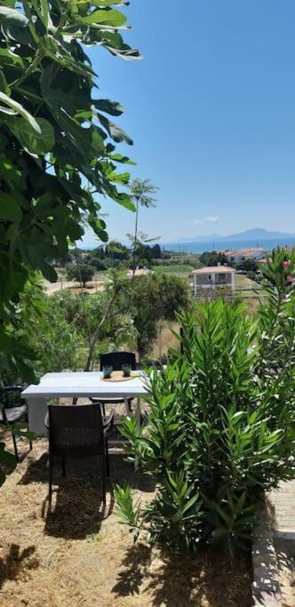 Photo of Others in Datca