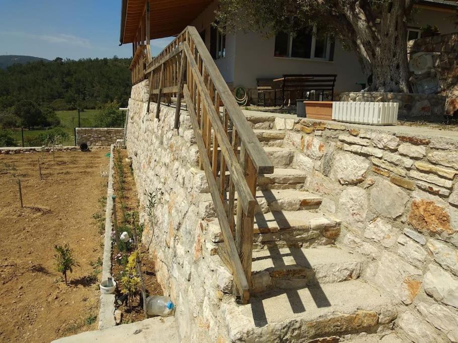 Photo of Buildings in Urla