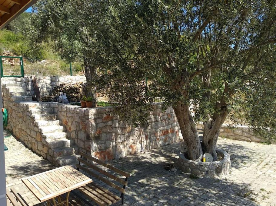 Photo of Others in Urla