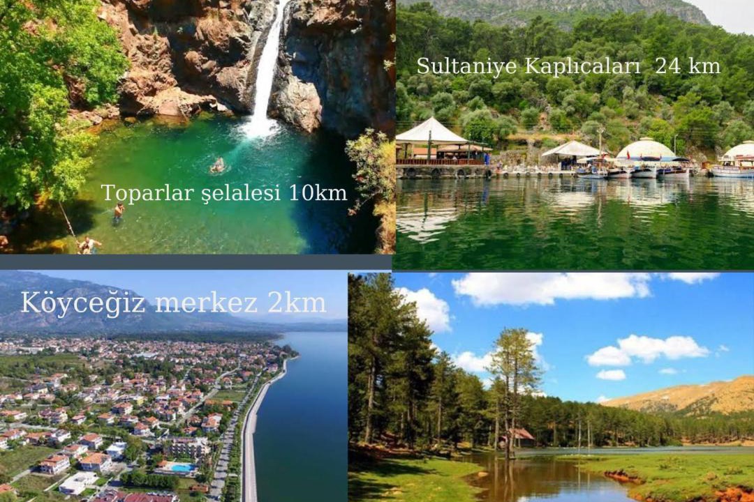 Photo of Others in Koycegiz