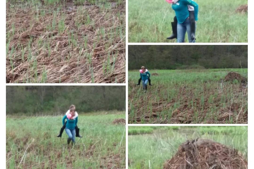 Photo of Human In Picture in Conewango Valley