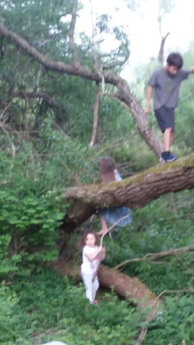 Photo of Others in Conewango Valley
