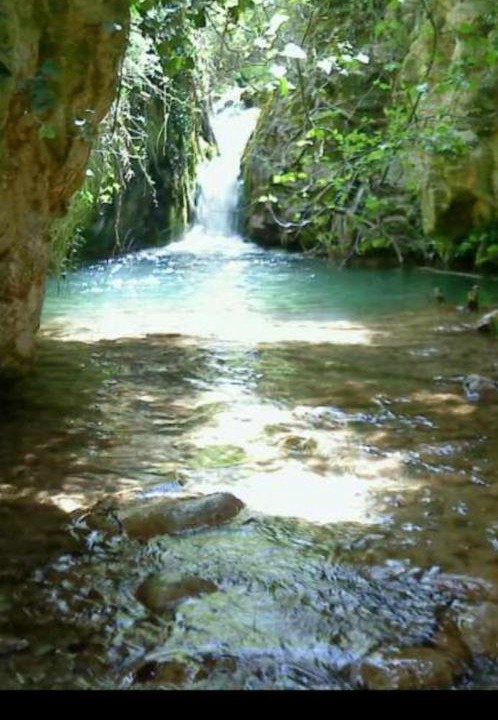 Photo of Others in Alcoleja