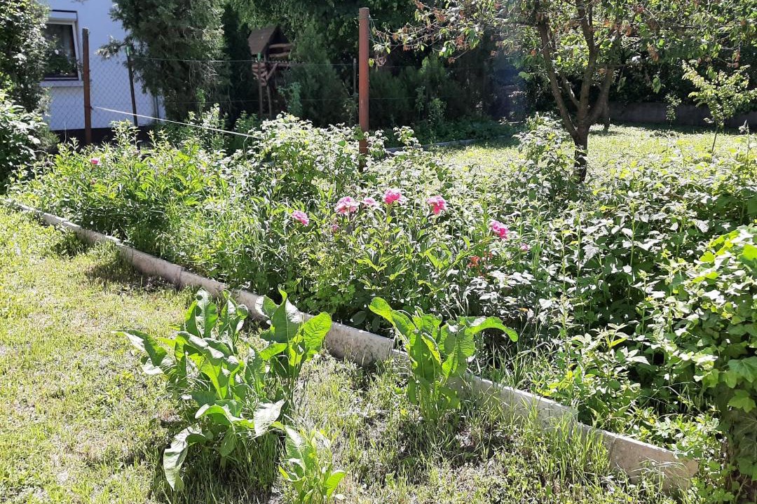 Photo of Outdoor in Sashalom