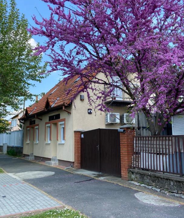 Photo of Buildings in Siklos
