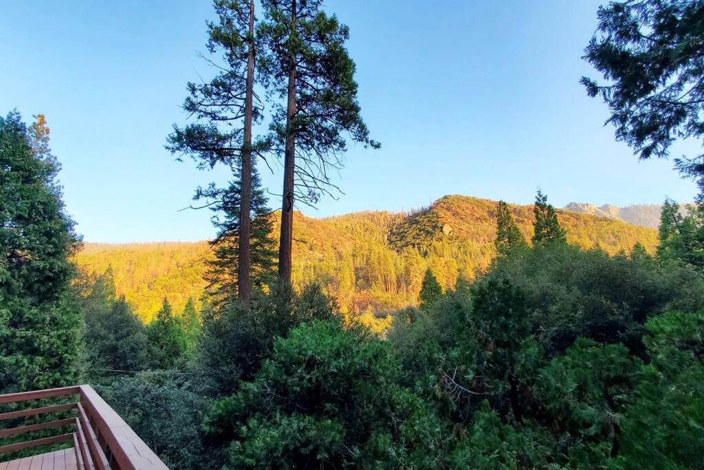 Photo of Outdoor in Camp Nelson
