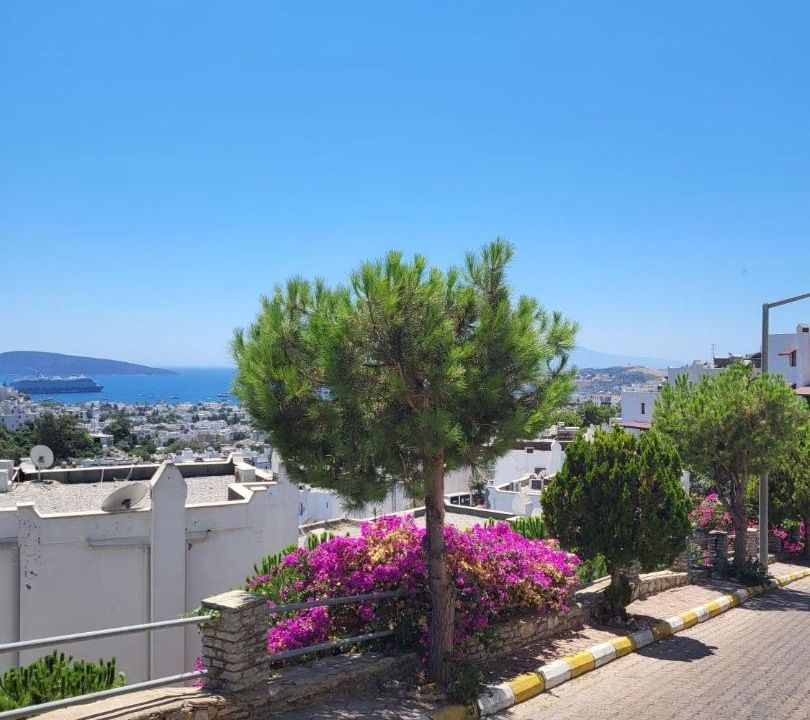 Photo of Livingroom in Bodrum