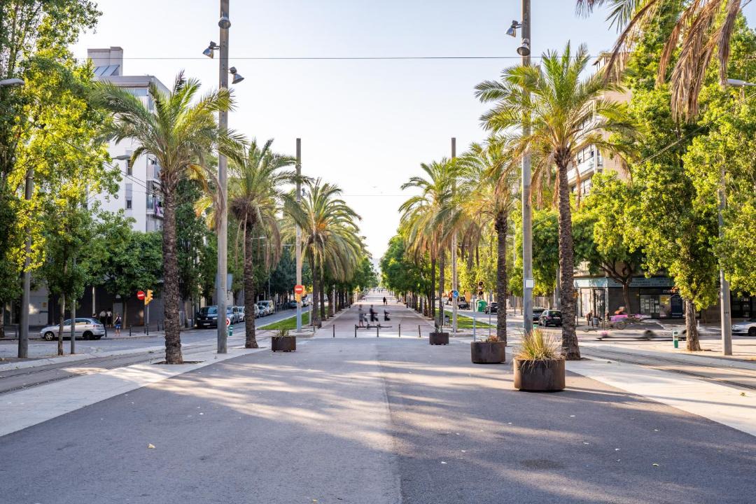 Photo of Others in Sant Adria de Besos