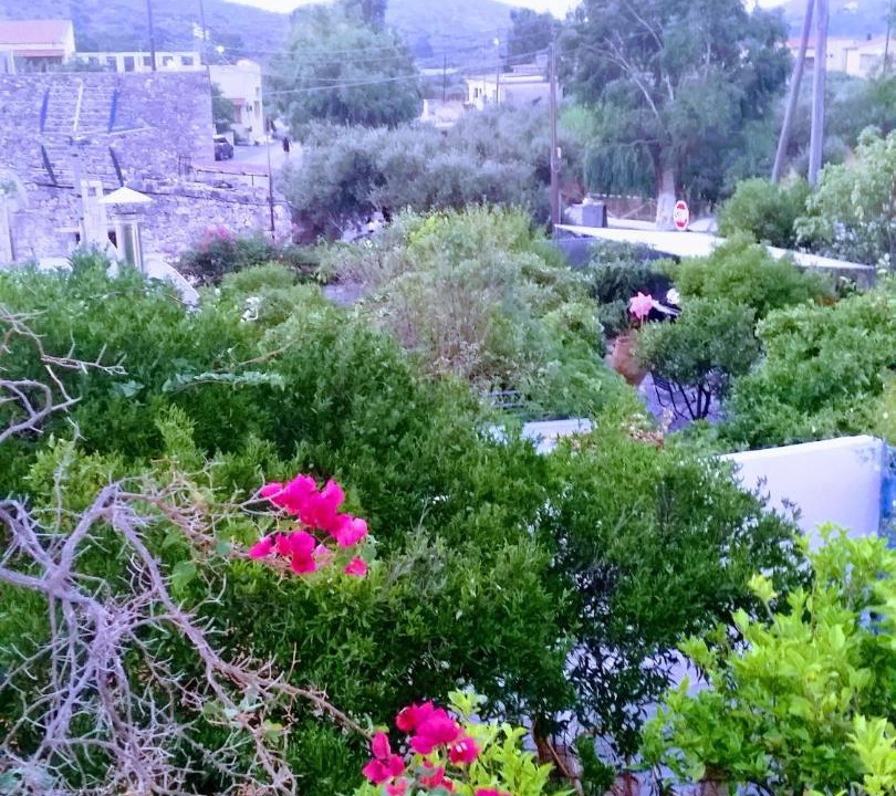 Photo of Outdoor in Choumeriakos