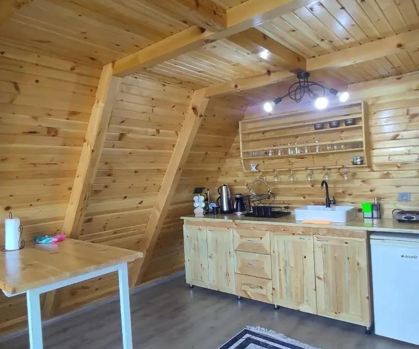 Photo of Kitchen in Sapanca