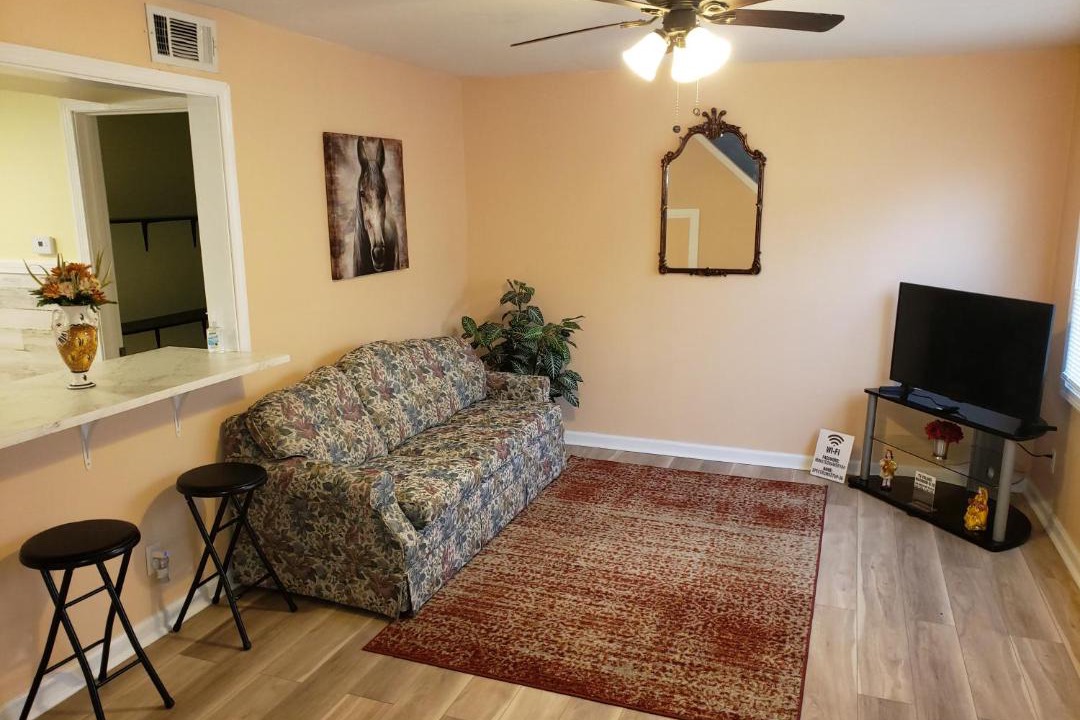 Photo of Livingroom in Cheektowaga