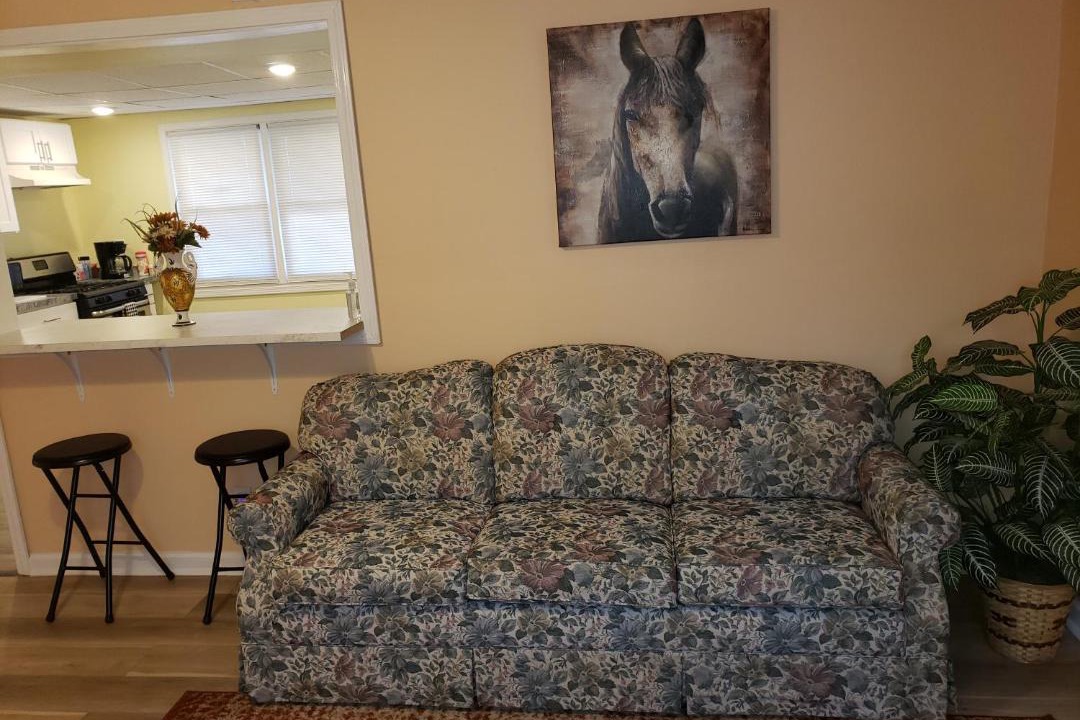 Photo of Livingroom in Cheektowaga