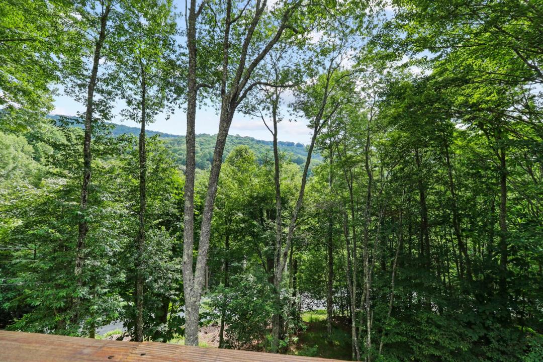 Photo of Others in Beech Mountain