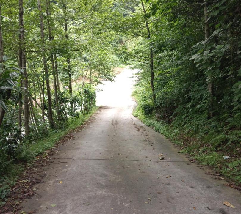 Photo of Outdoor in Ayder