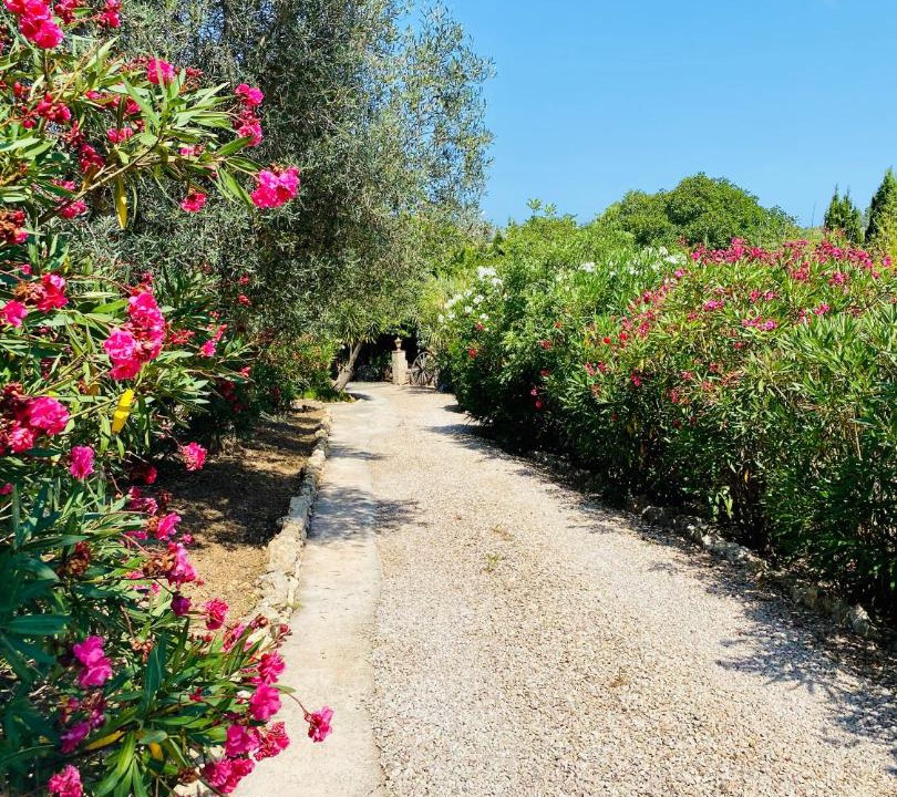 Photo of Outdoor in Son Macia