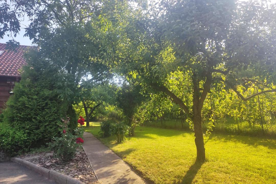 Photo of Outdoor in Csucshegy
