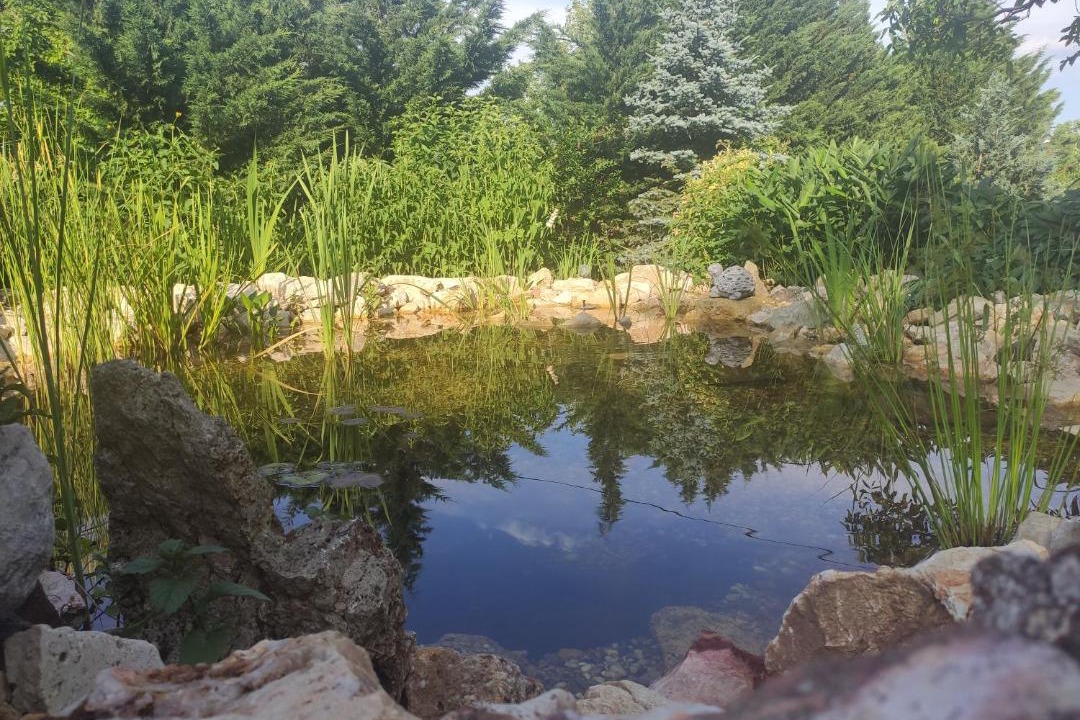 Photo of Outdoor in Csucshegy