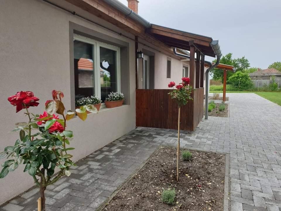 Photo of Others in Balatonfokajar