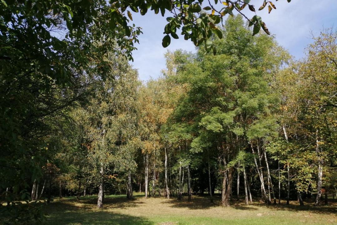 Photo of Others in Oriszentpeter