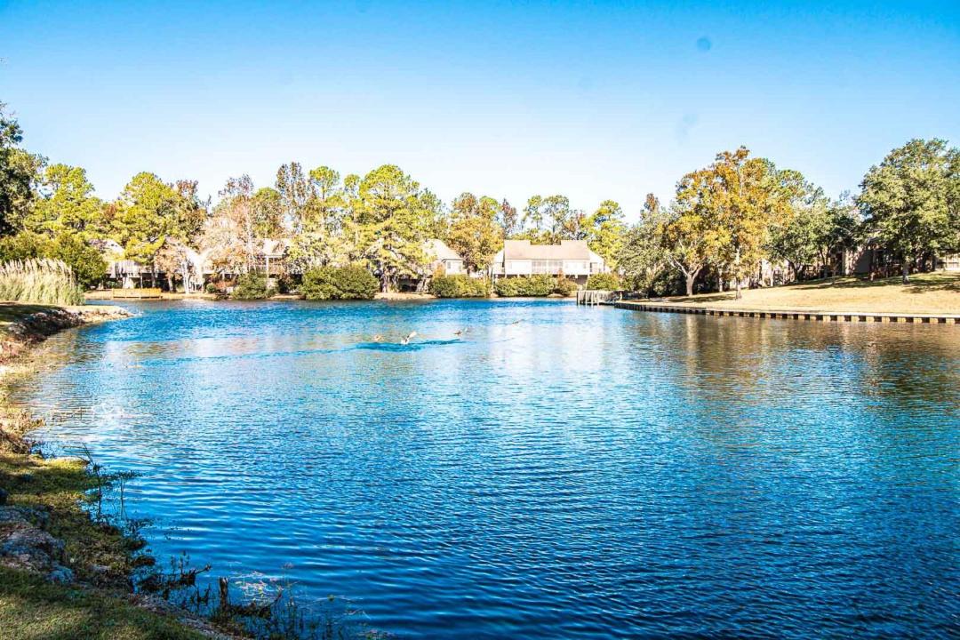 Photo of Outdoor in New Bern