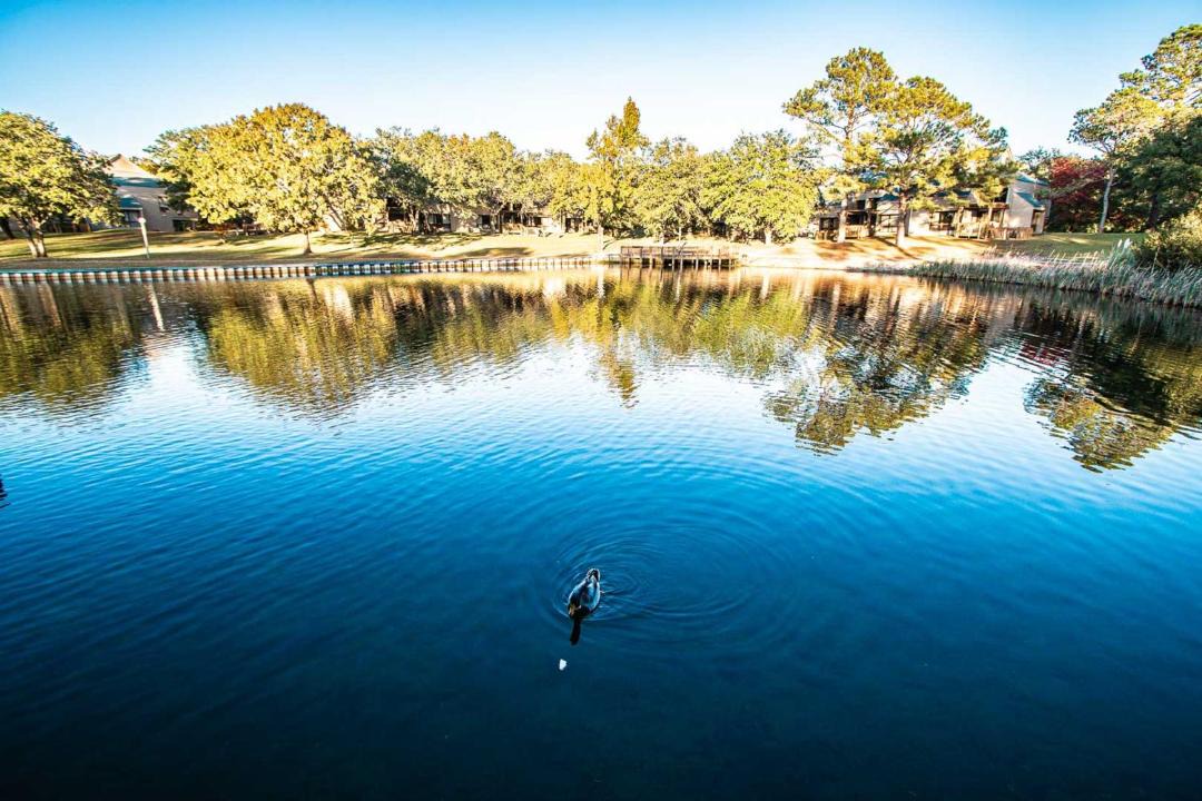 Photo of Outdoor in New Bern