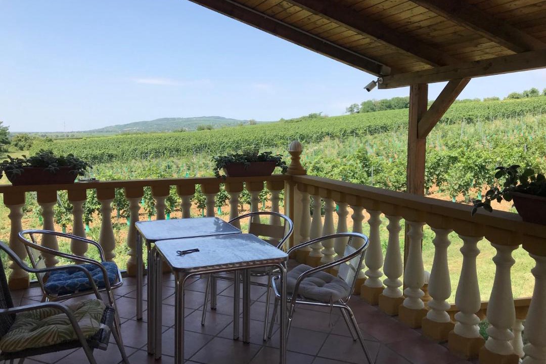 Photo of Patio Balcony in Kisharsany