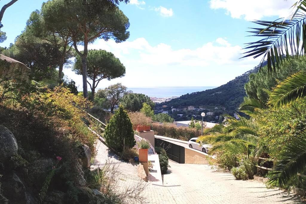 Photo of Others in Cabrera de Mar