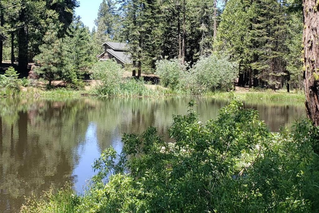 Photo of Others in Shaver Lake
