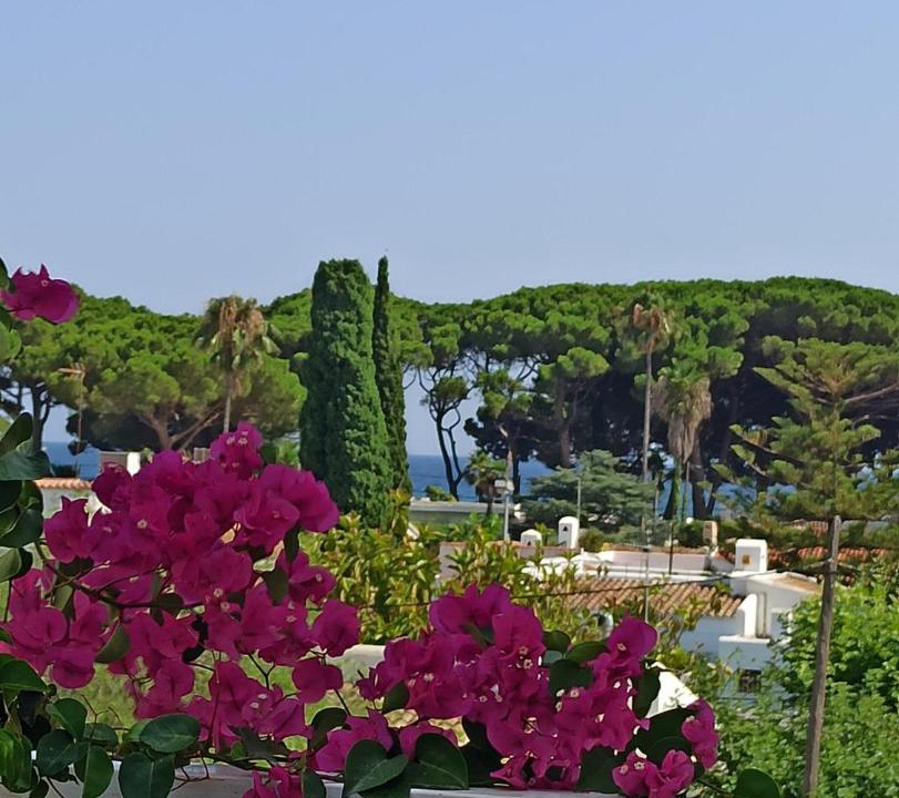Photo of Others in Vilafortuny
