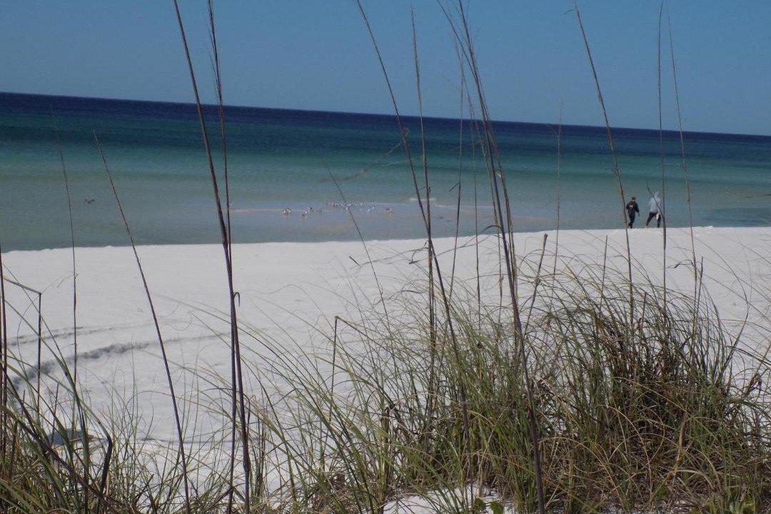 Photo of Others in Fort Walton Beach