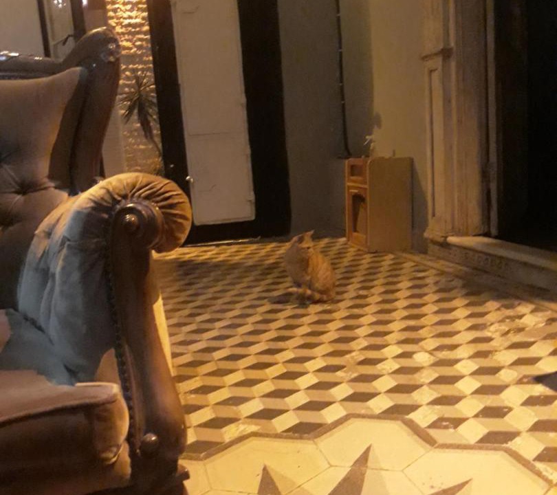 Photo of Outdoor in Old Town