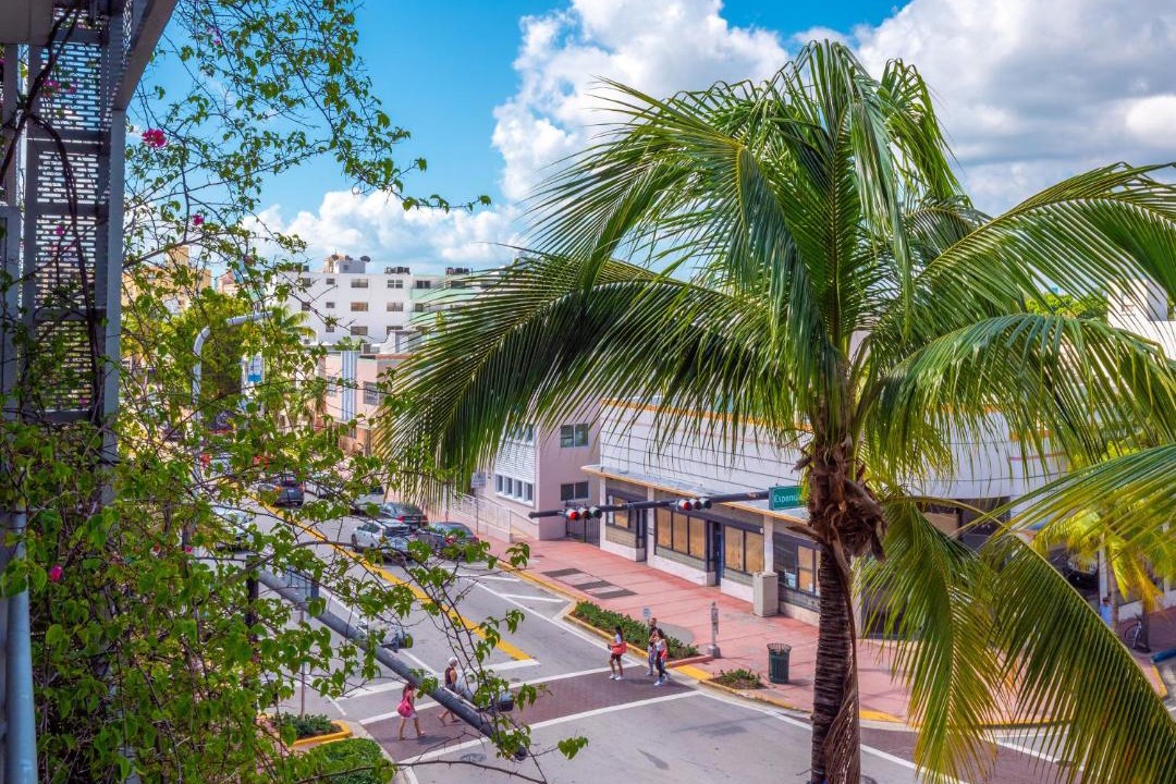 Photo of Others in South Beach