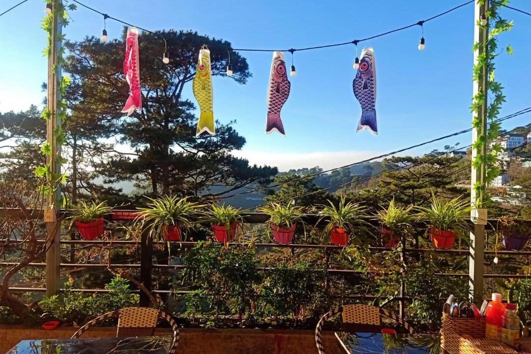 Photo of Others in Da Lat