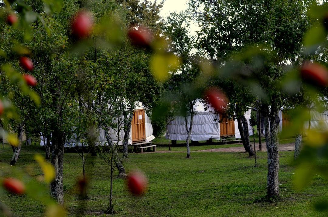 Photo of Others in Oriszentpeter