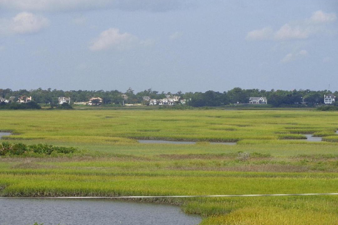 Photo of Others in Shell Island