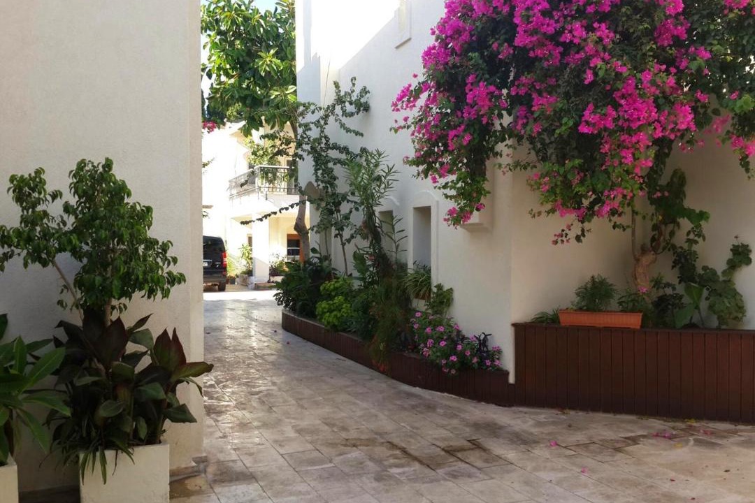 Photo of Others in Bodrum City Center