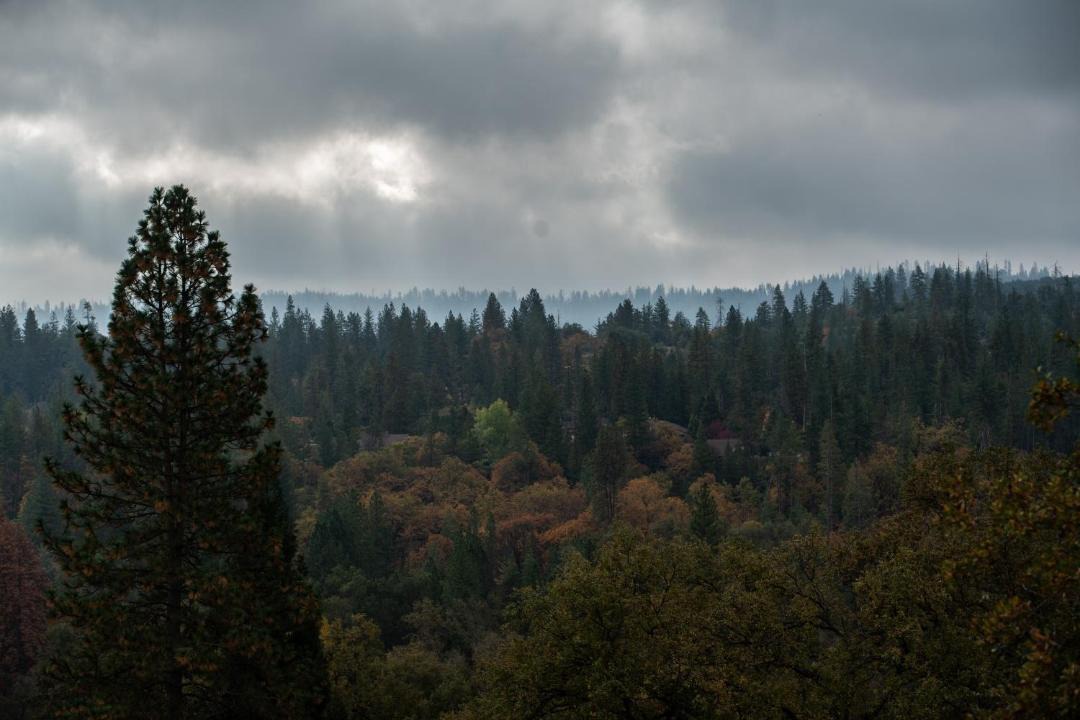 Photo of Outdoor in Groveland