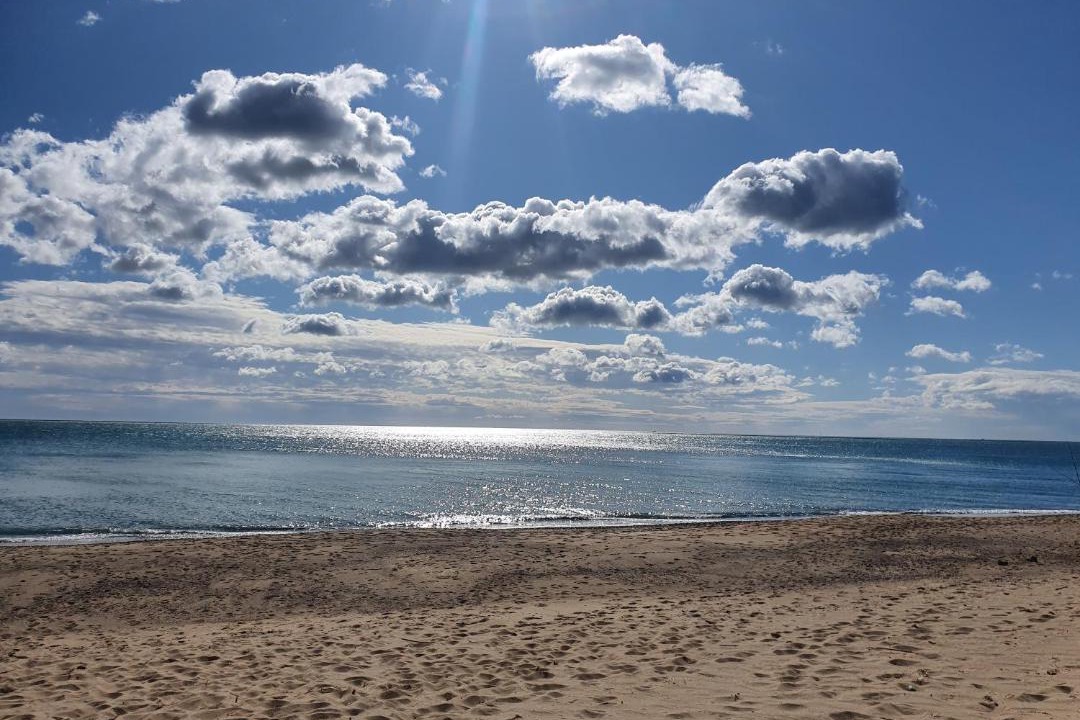 Photo of Outdoor in Miami Platja