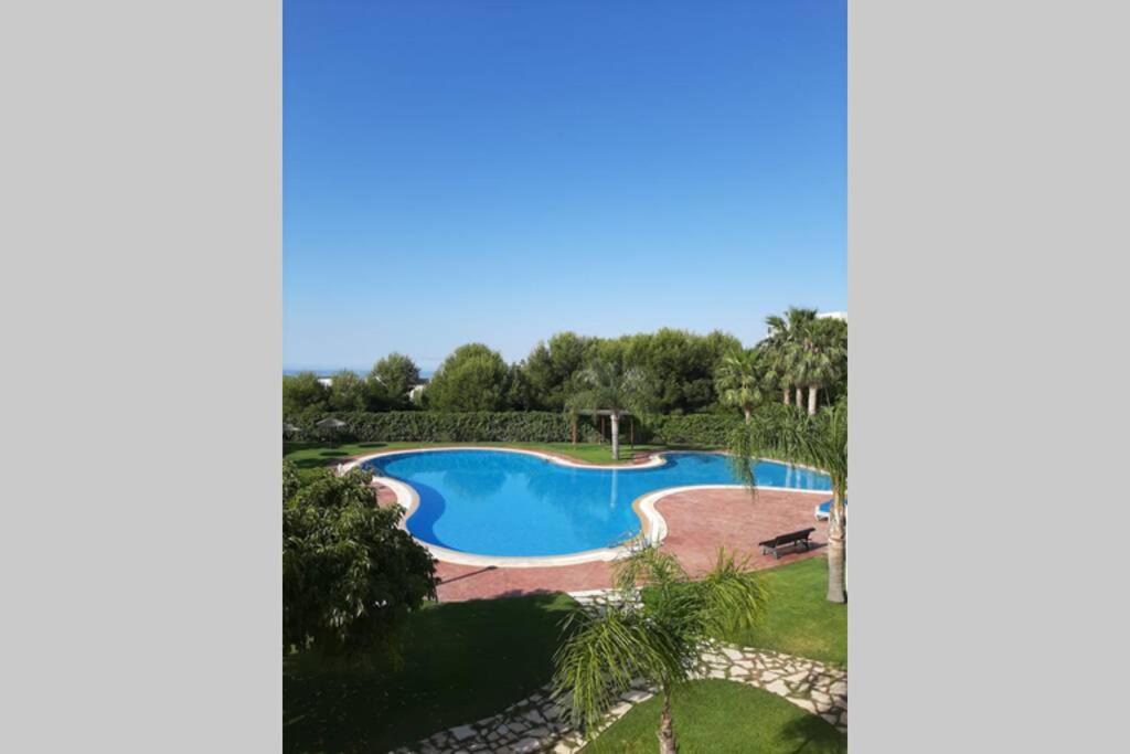 Photo of Outdoor in Golf Bahia