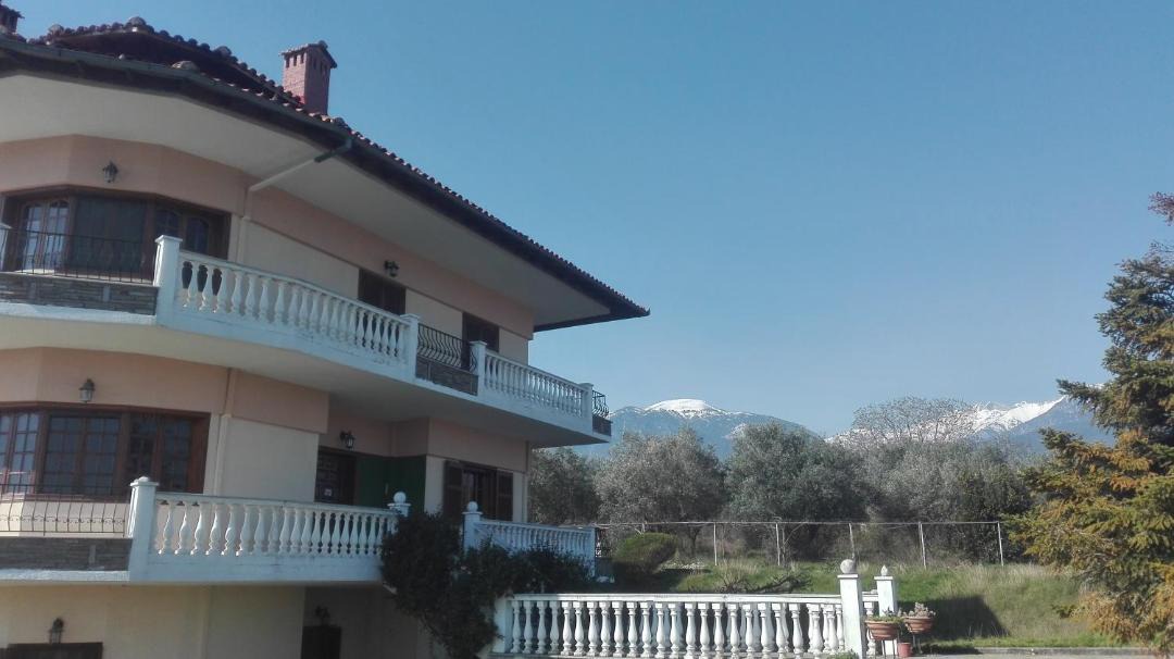 Photo of Others in Litochoro