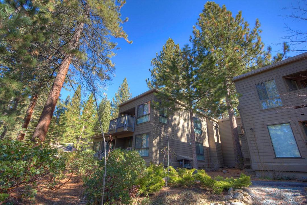 Photo of Others in Incline Village