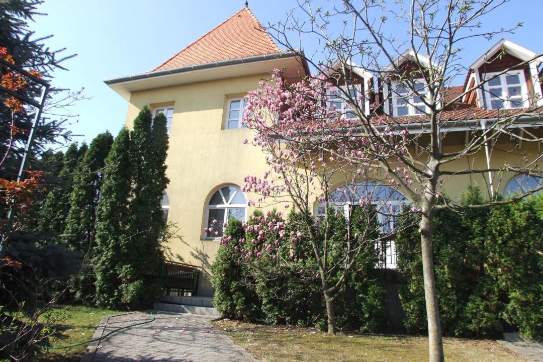 Photo of Others in Sashalom