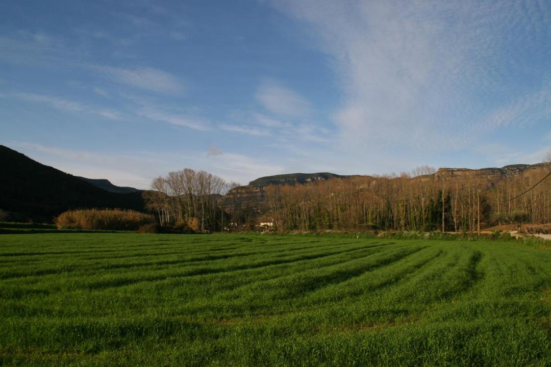Photo of Others in Bigues I Riells